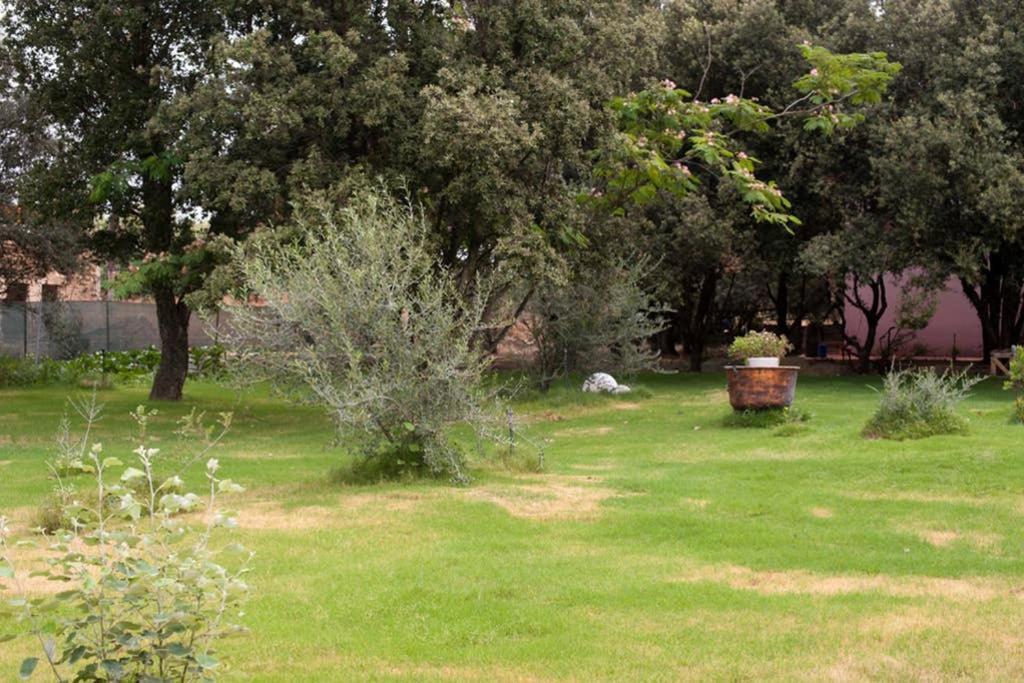 Loft Mansardato Con Giardino E Piscina In Villa Privata Loft With Garden And Swimming Pool In A Private Villa Sestu Exteriér fotografie