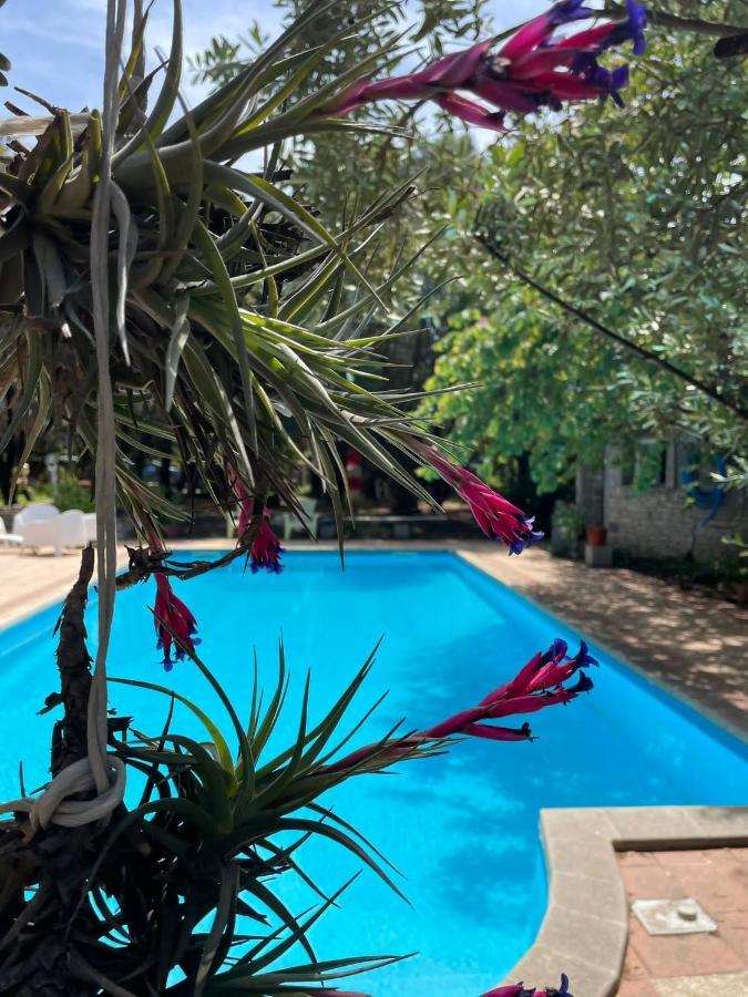 Loft Mansardato Con Giardino E Piscina In Villa Privata Loft With Garden And Swimming Pool In A Private Villa Sestu Exteriér fotografie
