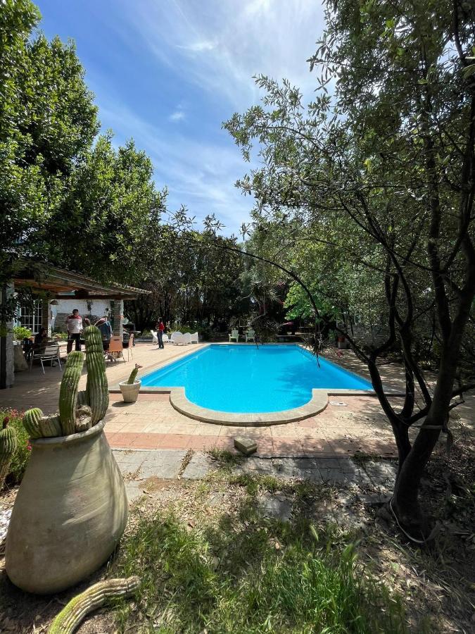 Loft Mansardato Con Giardino E Piscina In Villa Privata Loft With Garden And Swimming Pool In A Private Villa Sestu Exteriér fotografie